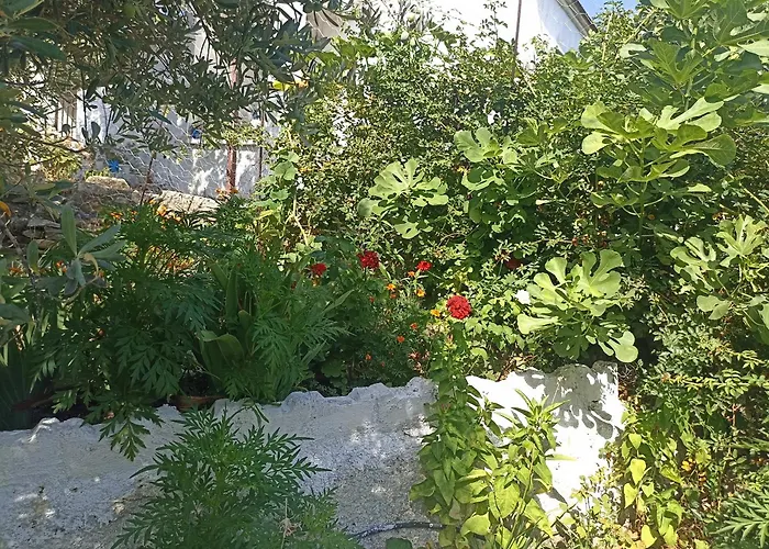 Lotus House * Soke