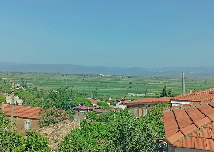 Hébergement de vacances Lotus House