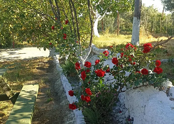 Hébergement de vacances Lotus House Soke