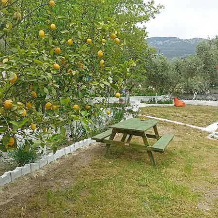 Lotus House Tatil Evi Söke