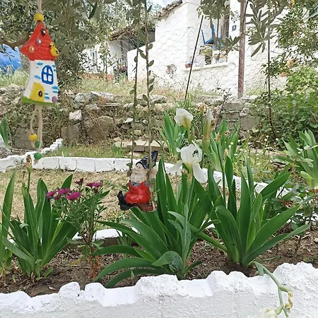 Tatil Evi Lotus House *
