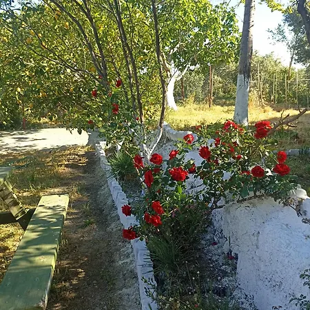 Holiday home Lotus House Soke