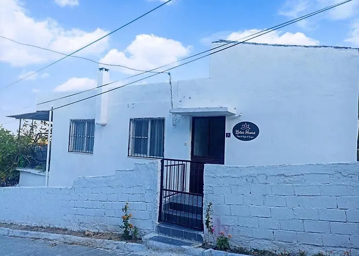 Lotus House 度假居